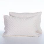 ΜΑΞΙΛΑΡΟΘΗΚΕΣ ΜΙΚΡ.-ΠΟΛ SCOFIELD 2ΤΜΧ