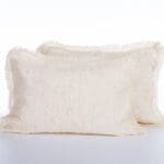 ΜΑΞΙΛΑΡΟΘΗΚΕΣ BAMB.-ΠΟΛ JAMAL 2ΤΜΧ